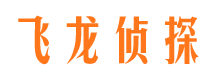 兴国市调查公司